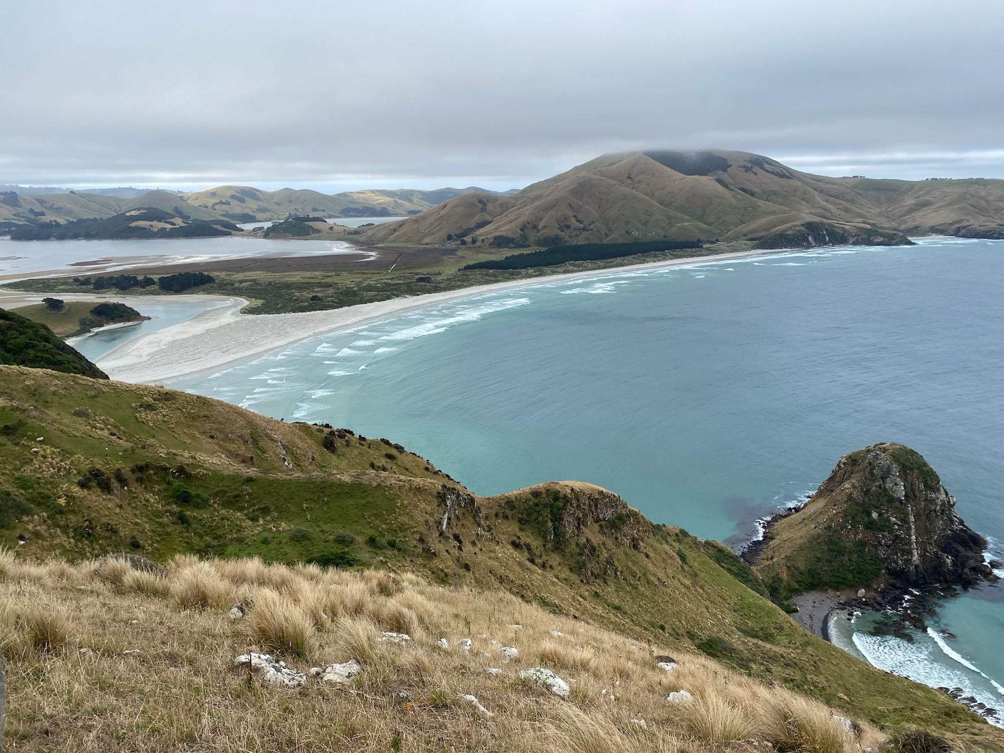 Otago Peninsula near Dunedin – New Zealand