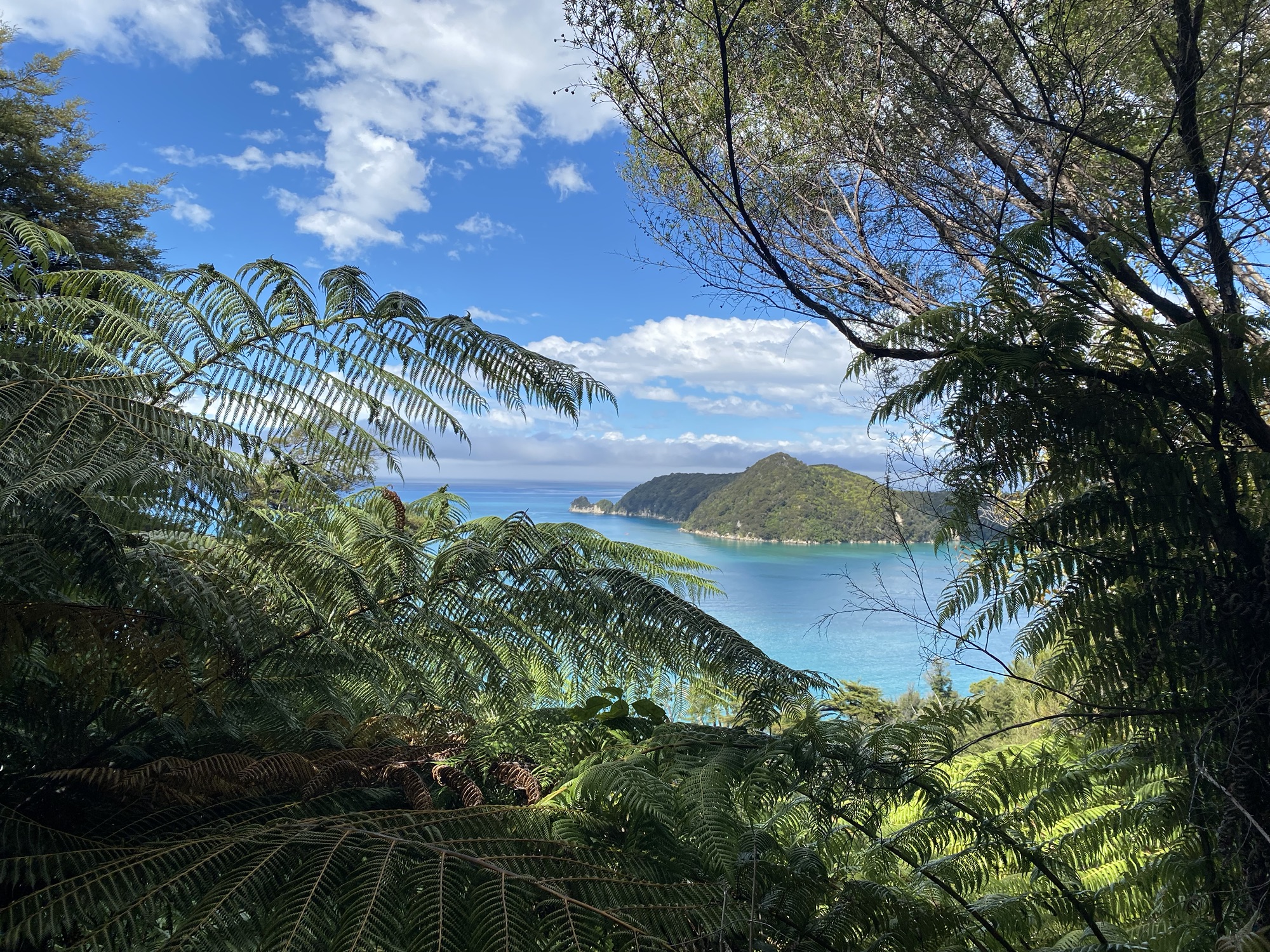 A little more about New Zealand
