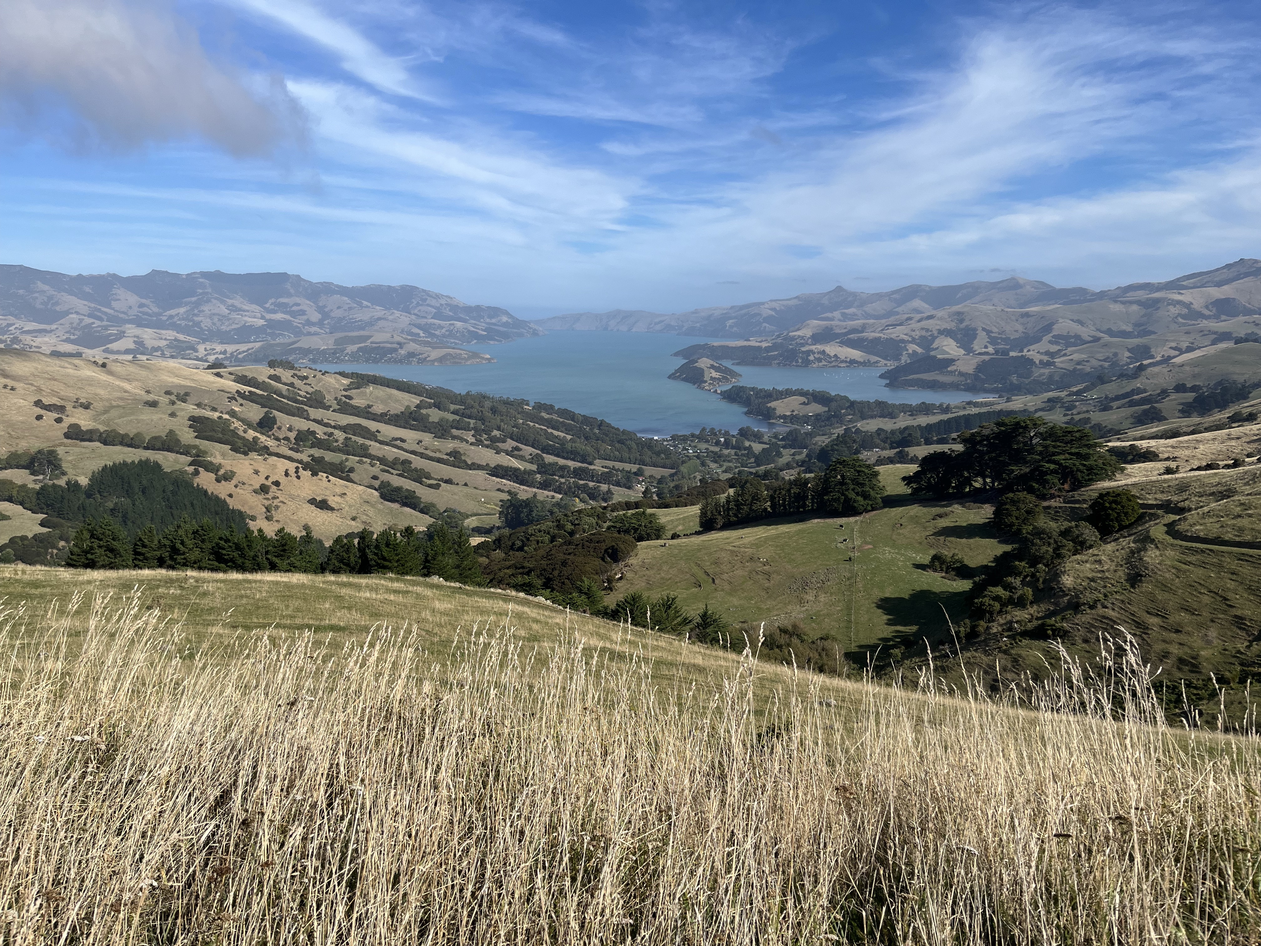 Akaroa & Banks Peninsula – New Zealand