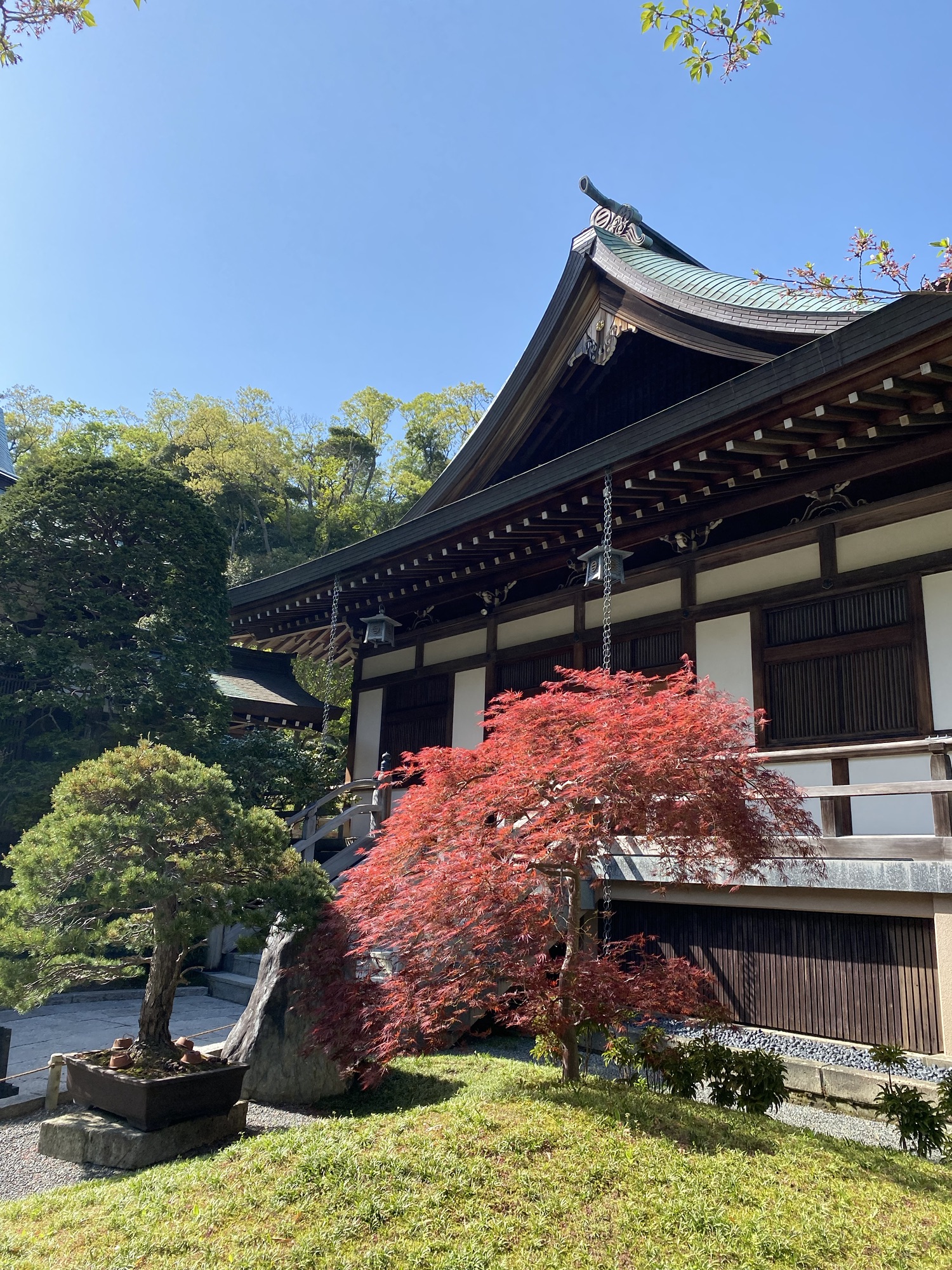 Kamakura Day 2 – Hiking to Temples – Japan