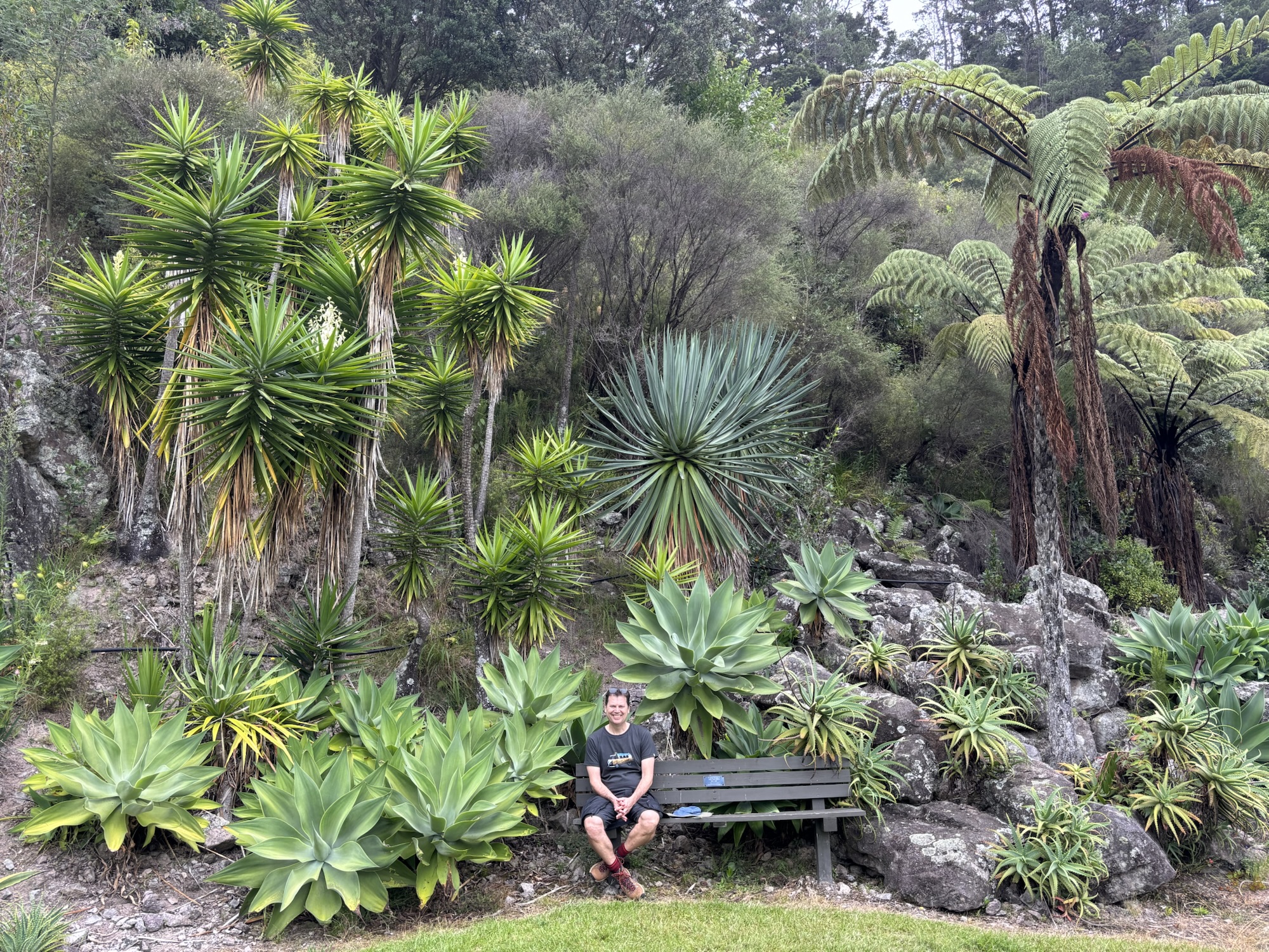 Te Puna Quarry Park, New Zealand