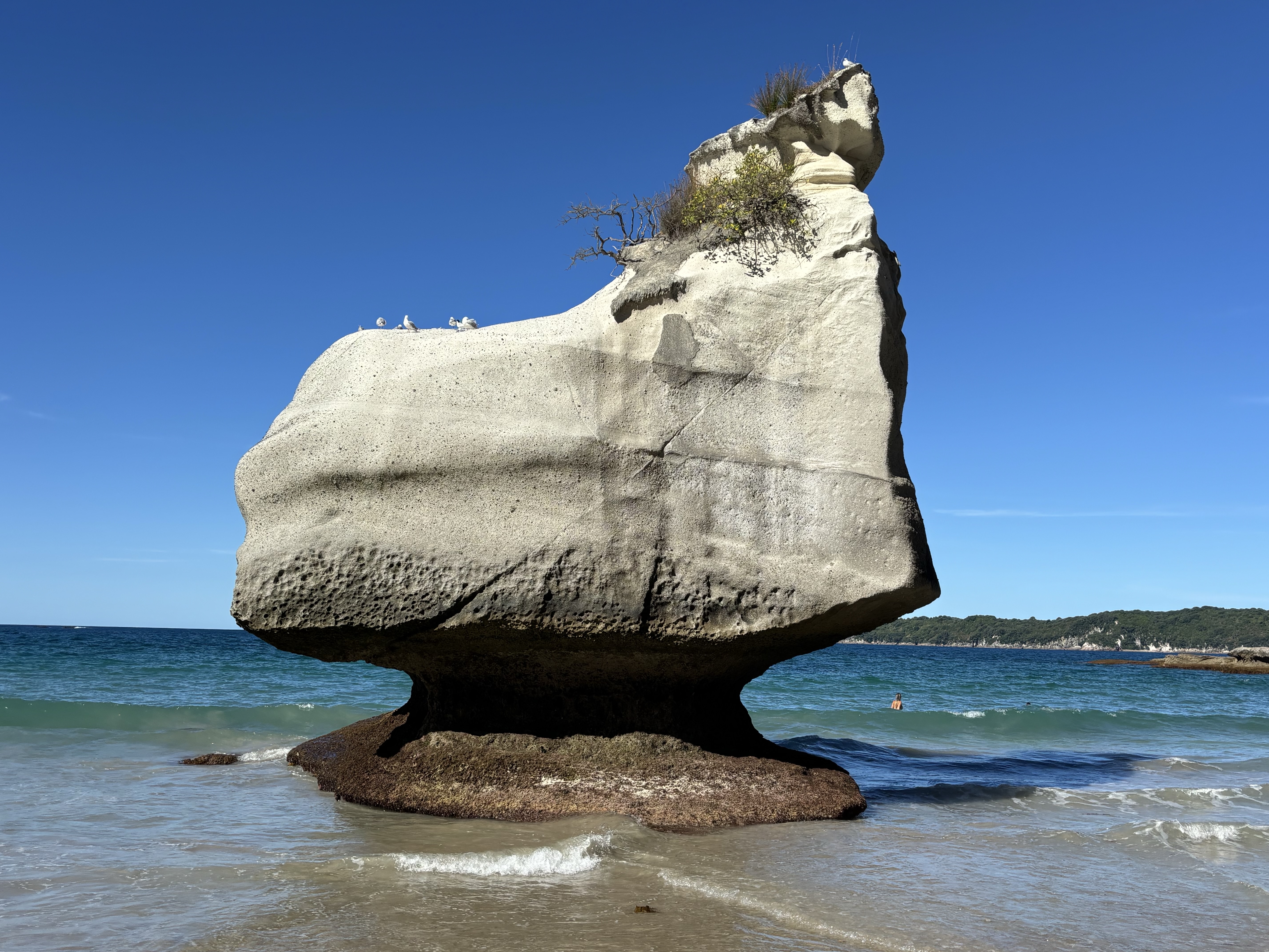 East Coromandel, New Zealand
