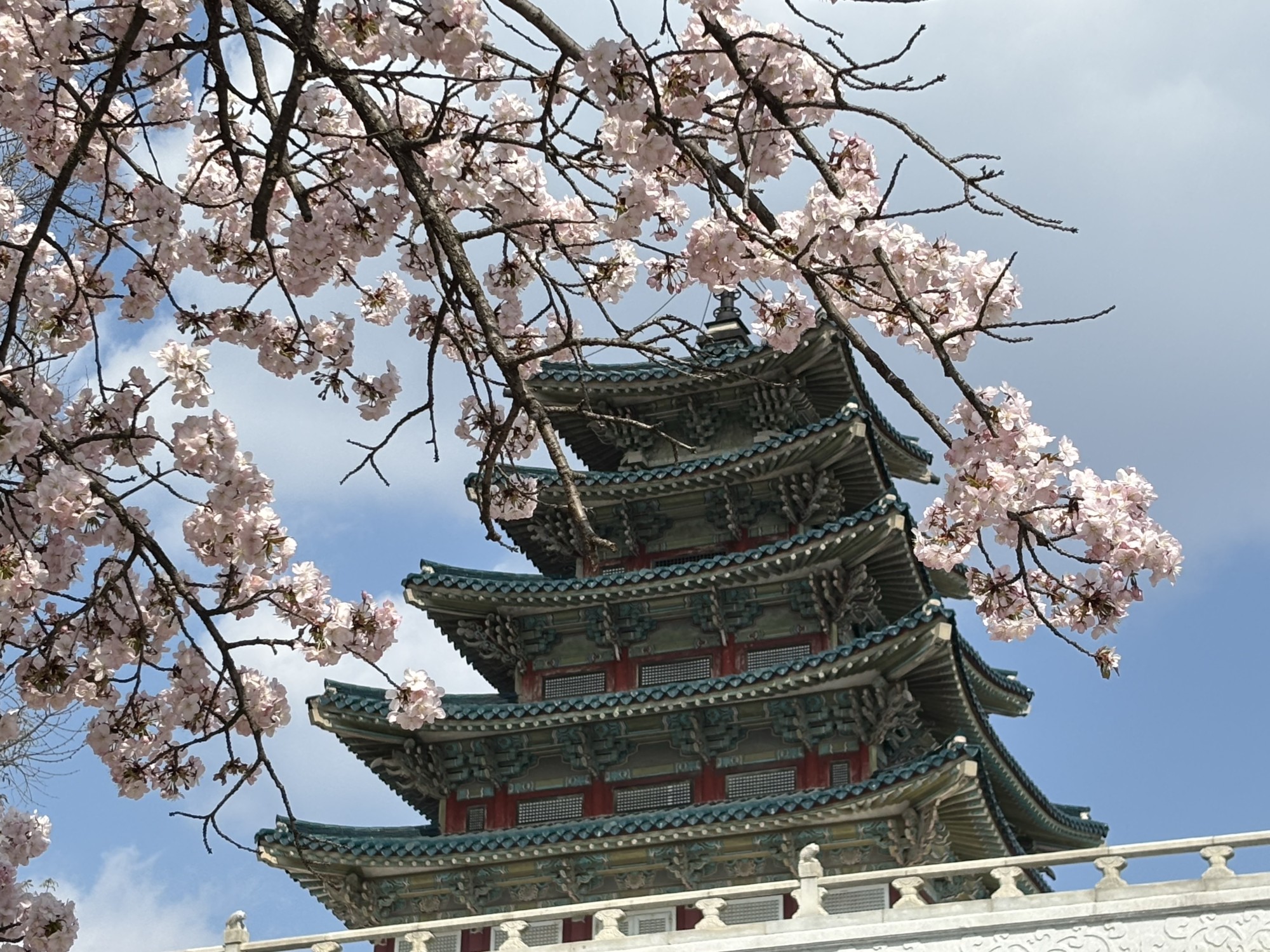 A Day in Seoul, South Korea