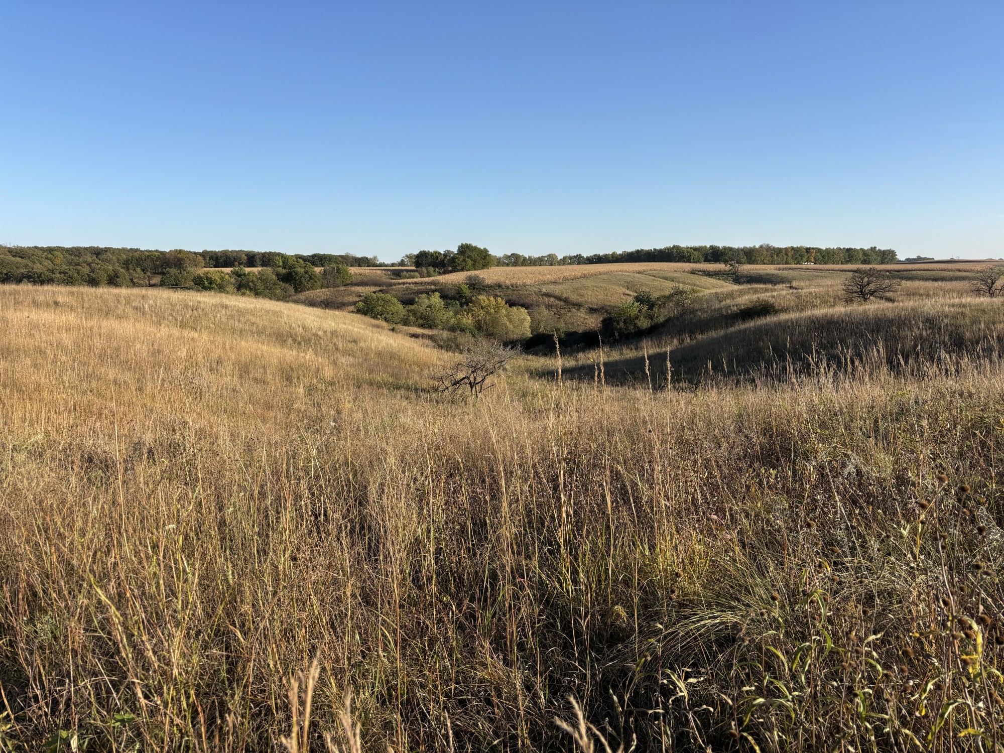 Little Camper on the Prairie – Southwest Minnesota